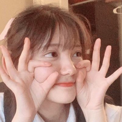 模拟巴士2023汉化版下载